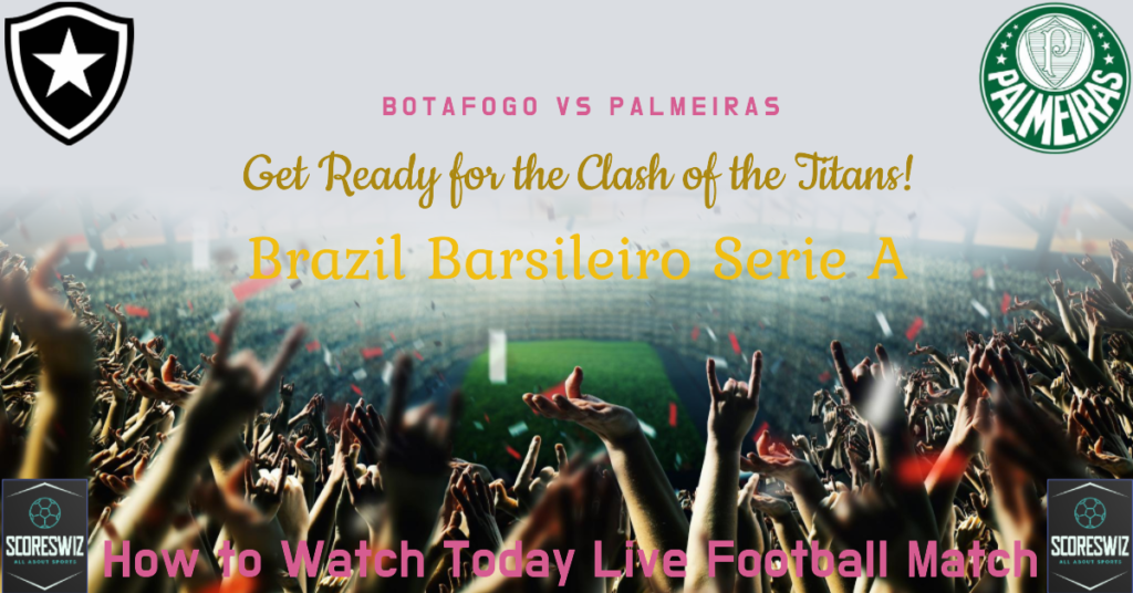 Botafogo vs Palmeiras