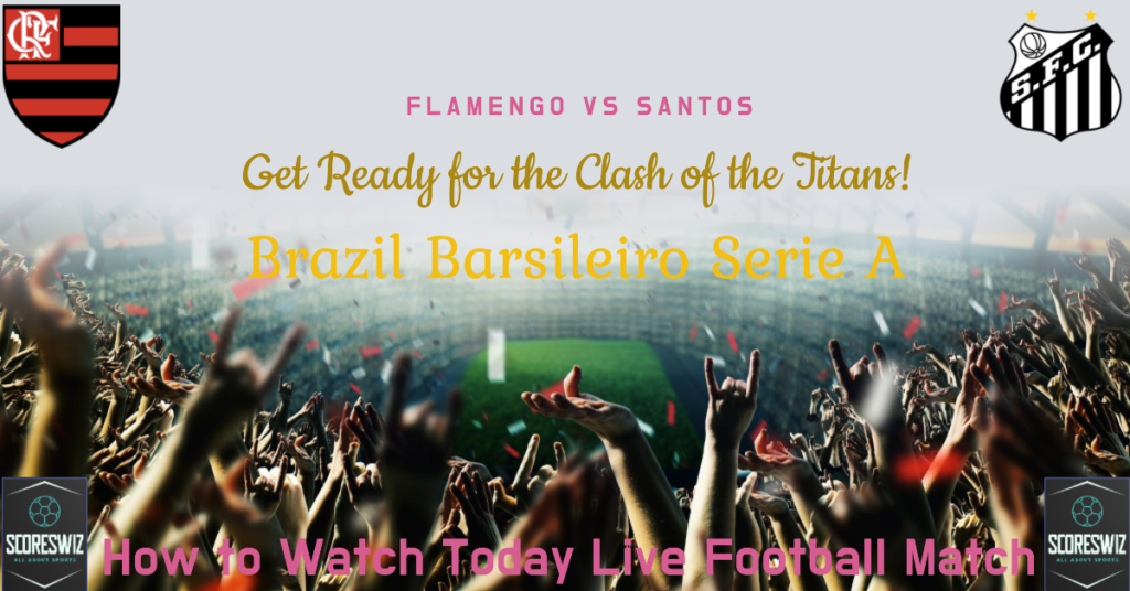 Flamengo vs Santos